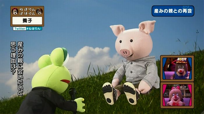 ねほりん 養子回のキャプ312