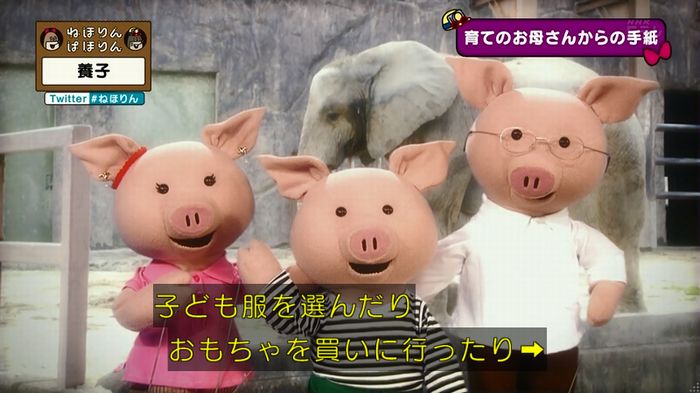 ねほりん 養子回のキャプ416
