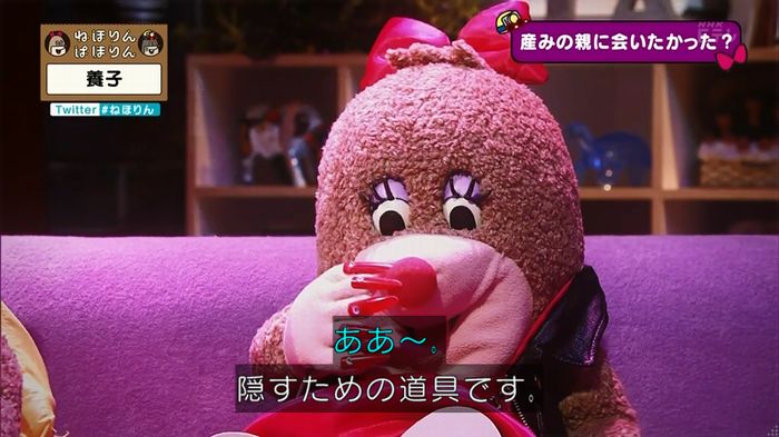 ねほりん 養子回のキャプ287