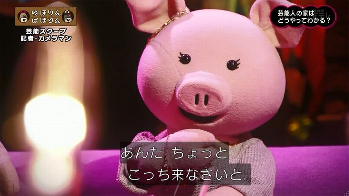 ねほりん 芸能スクープ回のキャプ112