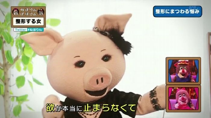 ねほりんぱほりんのキャプ375