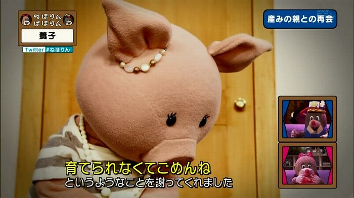ねほりん 養子回のキャプ324