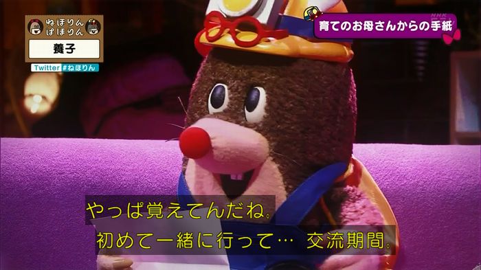 ねほりん 養子回のキャプ434
