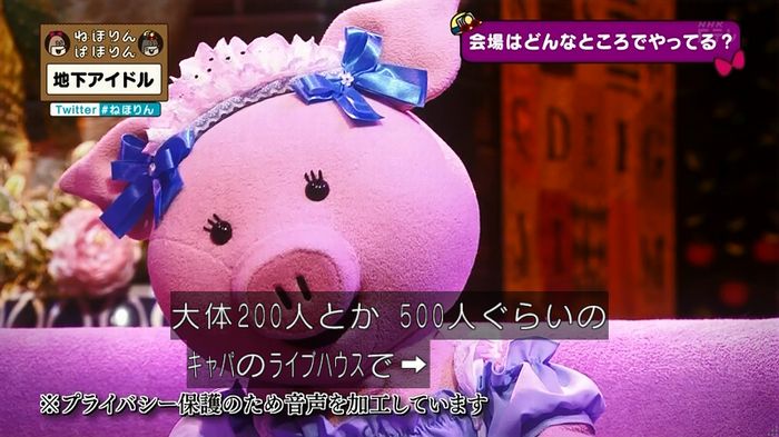 ねほりん 地下アイドル回のキャプ60