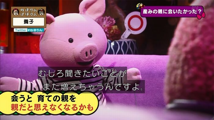 ねほりん 養子回のキャプ300
