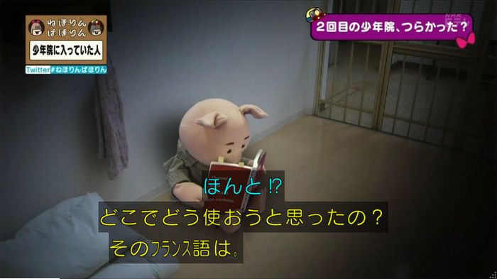ねほりんぱほりんのキャプ203