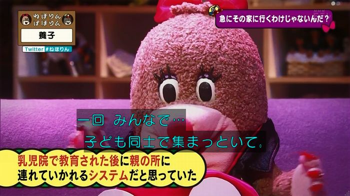 ねほりん 養子回のキャプ69