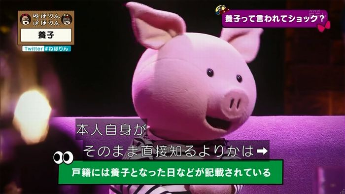 ねほりん 養子回のキャプ107