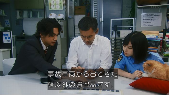 警視庁いきもの係 9話のキャプ646