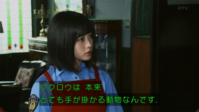 警視庁いきもの係 8話のキャプ240