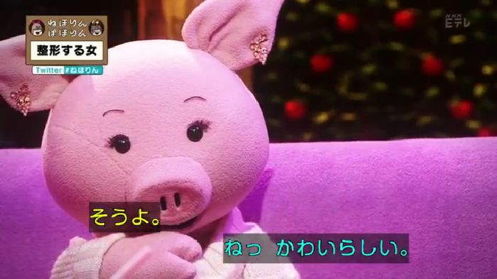 ねほりんぱほりんのキャプ483