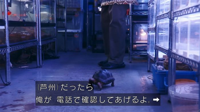 いきもの係 3話のキャプ547