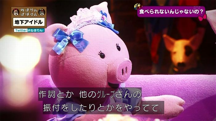 ねほりん 地下アイドル回のキャプ117