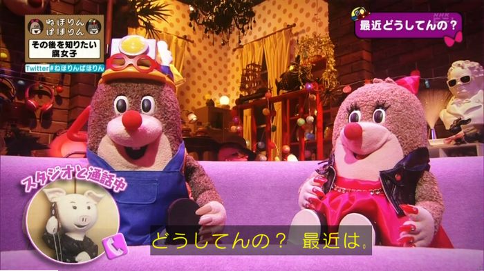 ねほりんぱほりんのキャプ254