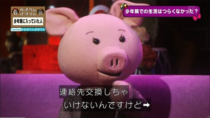 ねほりんぱほりんのキャプ125
