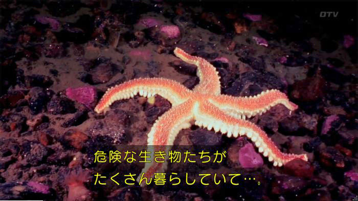 海月姫7話のキャプ539