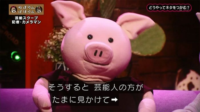 ねほりん 芸能スクープ回のキャプ39