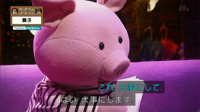 ねほりん 養子回のキャプ446