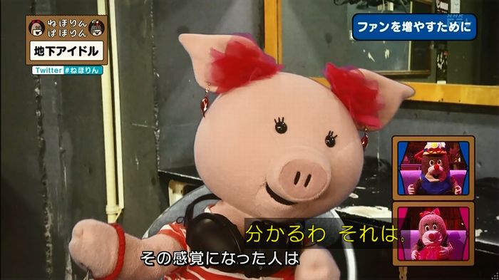 ねほりん 地下アイドル回のキャプ367