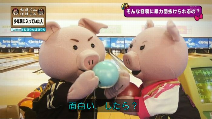 ねほりんぱほりんのキャプ280