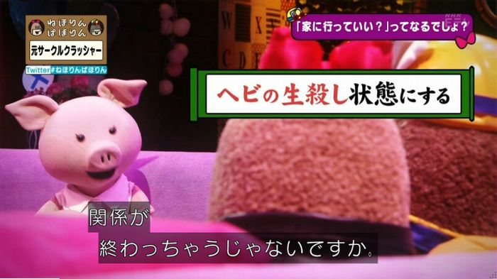 ねほりんぱほりん サークルクラッシャーのキャプ210