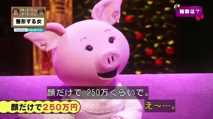 ねほりんぱほりんのキャプ64