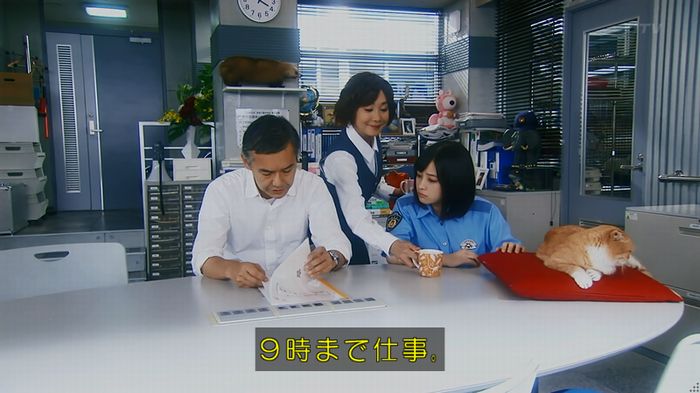 警視庁いきもの係 8話のキャプ540