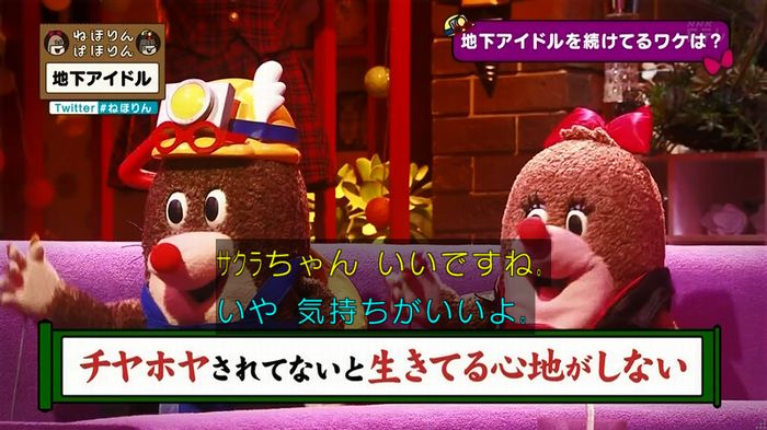 ねほりん 地下アイドル後編のキャプ434