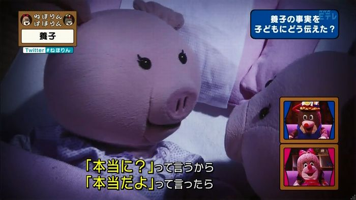 ねほりん 養子回のキャプ131