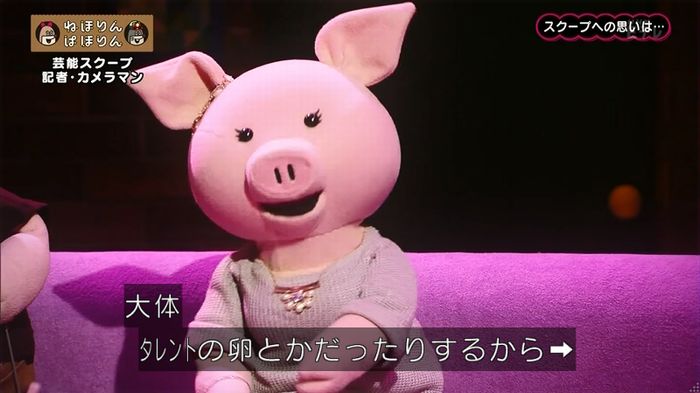 ねほりん 芸能スクープ回のキャプ353