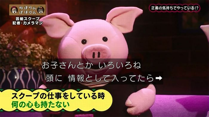 ねほりん 芸能スクープ回のキャプ344