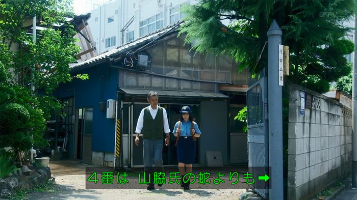 いきもの係 3話のキャプ588