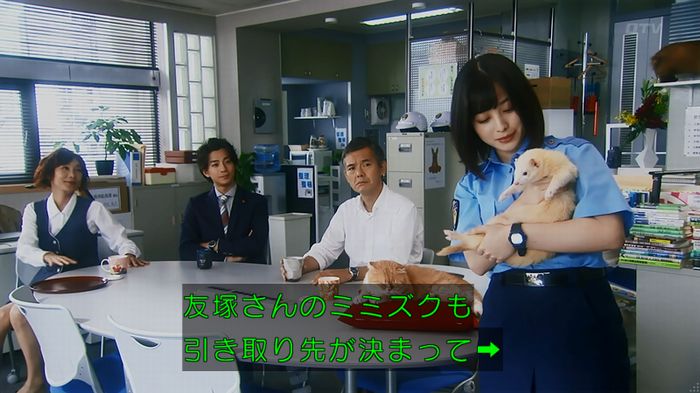 警視庁いきもの係 8話のキャプ851