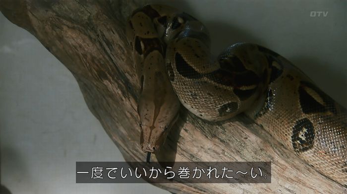 いきもの係 3話のキャプ194