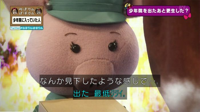 ねほりんぱほりんのキャプ224