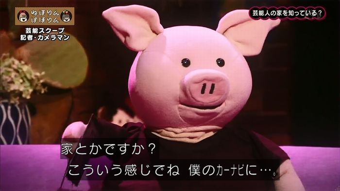 ねほりん 芸能スクープ回のキャプ92