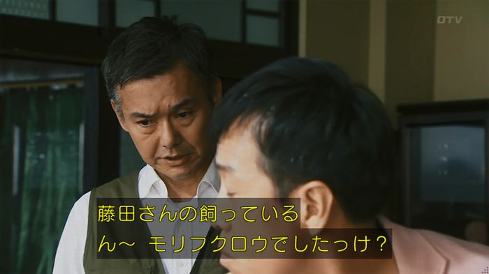 警視庁いきもの係 8話のキャプ352