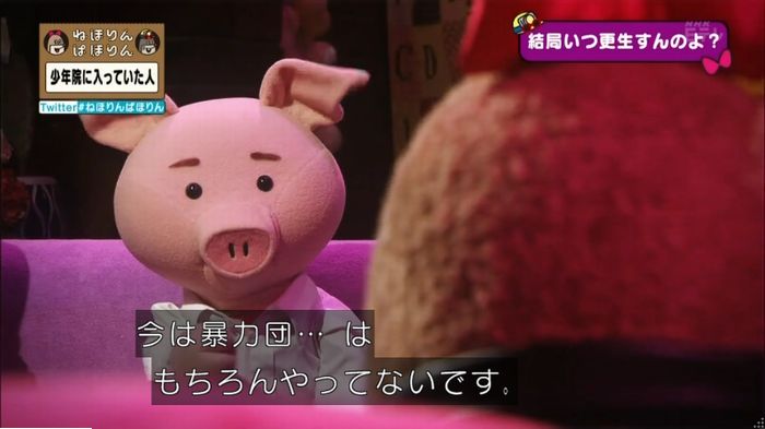 ねほりんぱほりんのキャプ241