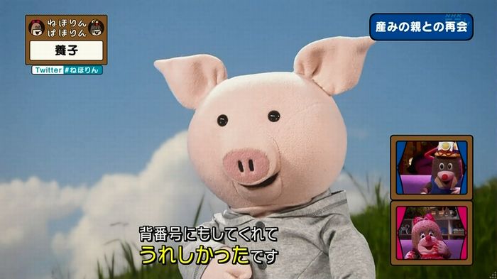 ねほりん 養子回のキャプ334