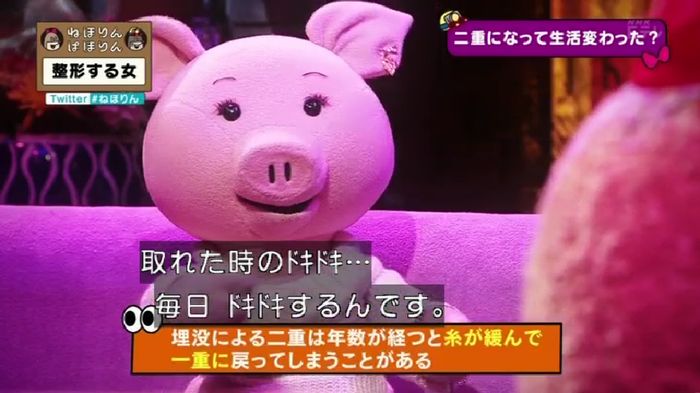 ねほりんぱほりんのキャプ247
