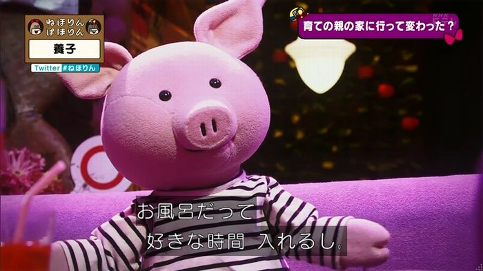 ねほりん 養子回のキャプ74