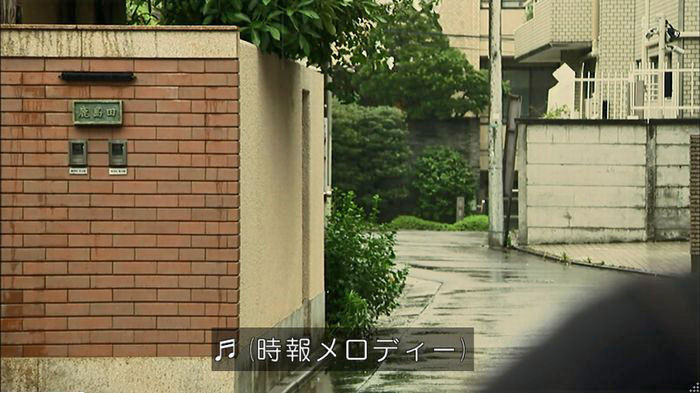 ウツボカズラの夢5話のキャプ611