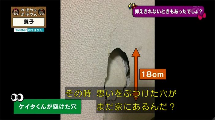 ねほりん 養子回のキャプ232