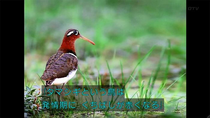 人は見た目が100パーセントのキャプ450