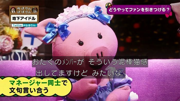 ねほりん 地下アイドル回のキャプ484
