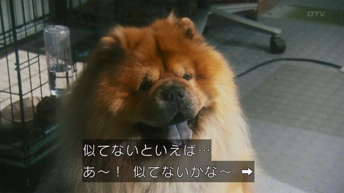 いきもの係 3話のキャプ70