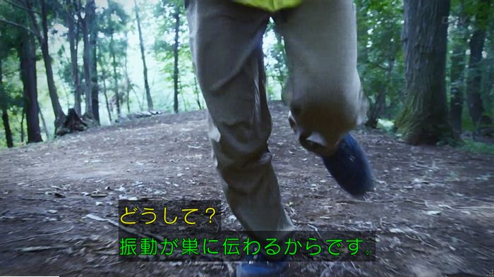 警視庁いきもの係 9話のキャプ562