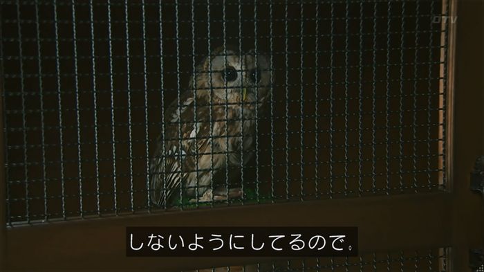 警視庁いきもの係 8話のキャプ349