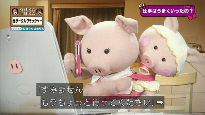 ねほりんぱほりん サークルクラッシャーのキャプ371