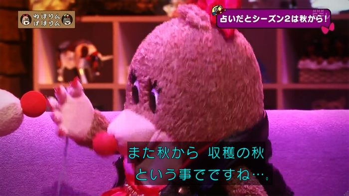 ねほりん 最終回のキャプ83
